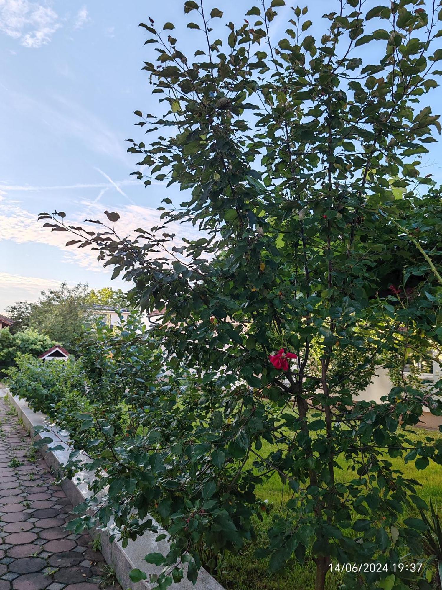 Guesthouse Jelic Teslić Dış mekan fotoğraf